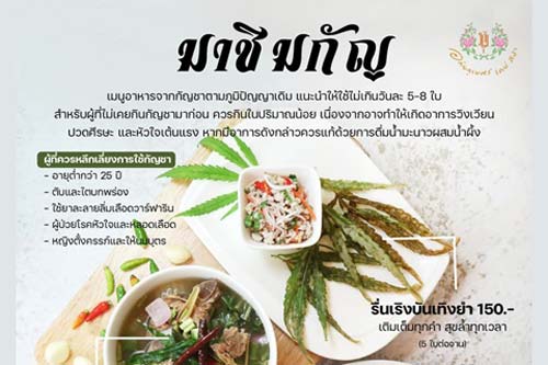 โมเดลธุรกิจใหม่ ร้านอาหารกัญชา นำร่อง 3 ร้านดัง